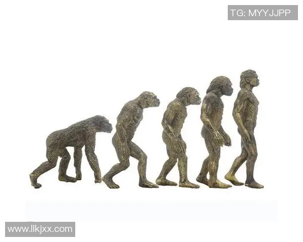 猿人足球明星的传奇之路与人类运动的进化探索